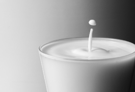 חלב – עובדות או מיתוסים: האם נכון שחלב גורם לסרטן?
