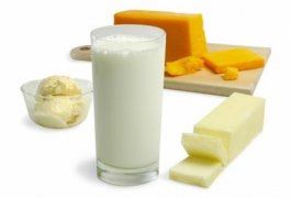 מוצרי חלב – עובדות חשובות